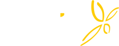 Travis Tourism